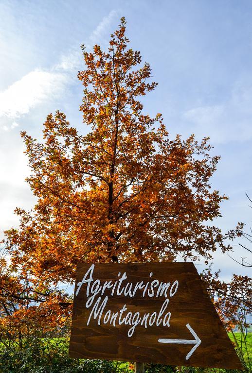 فيلا Agriturismo Montagnola Abruzzo Casalanguida المظهر الخارجي الصورة