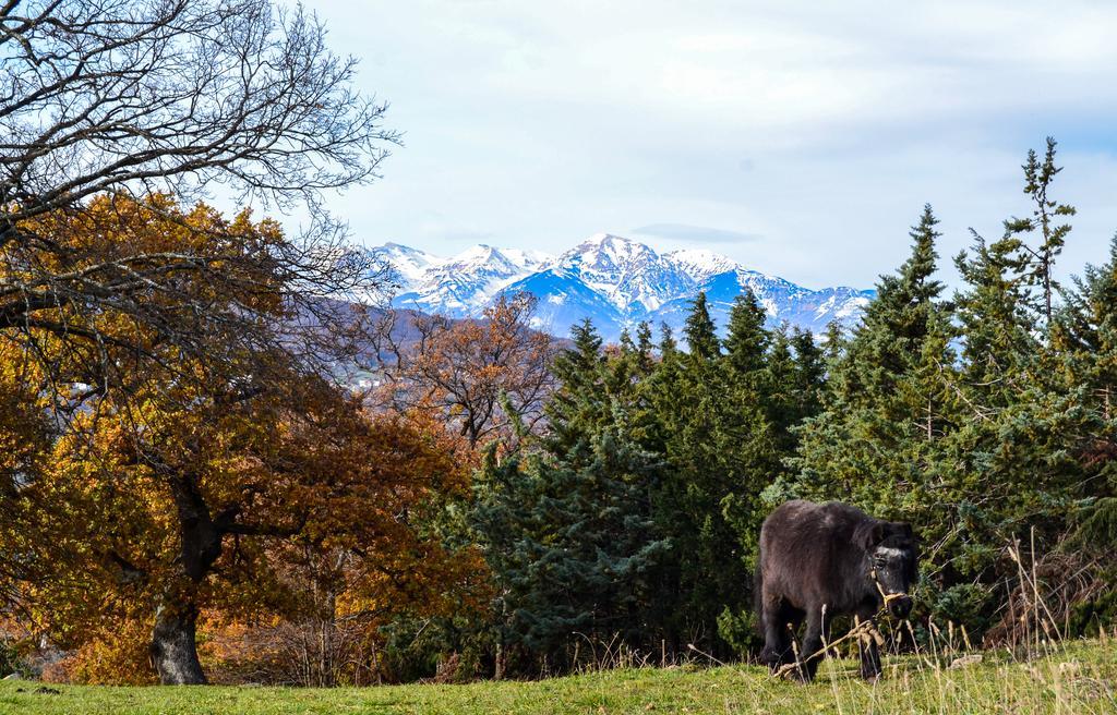 فيلا Agriturismo Montagnola Abruzzo Casalanguida المظهر الخارجي الصورة